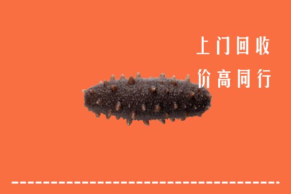 永济市回收海参
