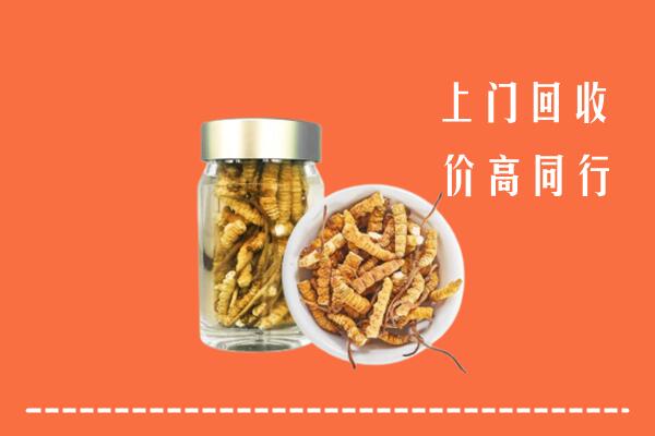 永济市回收冬虫夏草