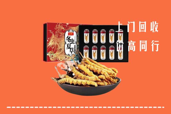 永济市回收虫草